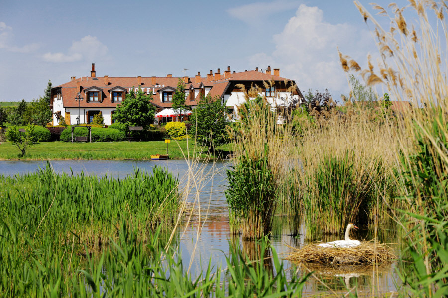 Отель Dwor Bogucin 02