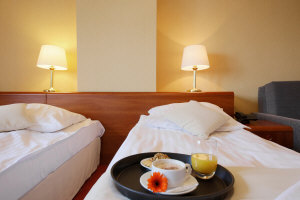 Отель Dwor Bogucin 09